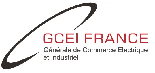 LOGO_GCEI_FRANCE (2)